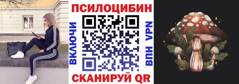 Галлюциногенные грибы Psilocybine cubensis  hydra зеркало  Котельниково  как найти  